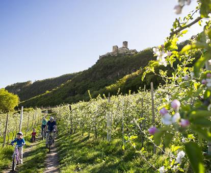 Una famiglia di quattro persone pedala in bicicletta in primavera attraverso un frutteto in fiore, sullo sfondo si vede un castello.