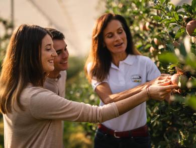 Visite guidate sulla mela: La contadina spiega ai visitatori la varietà di mele nel frutteto dell'Alto Adige.