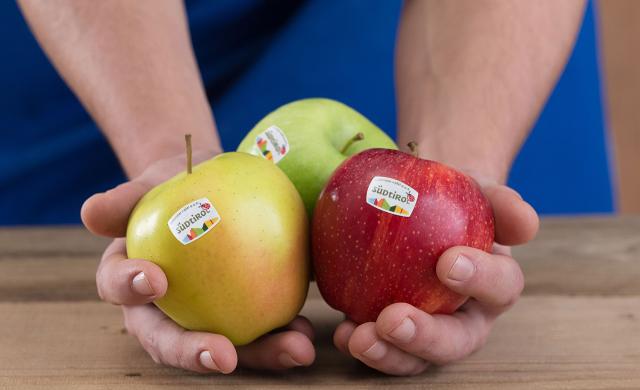 Tre diverse varietà di Mela Alto Adige IGP nella mano di un contadino, con il logo della Mela Alto Adige IGP sui frutti.