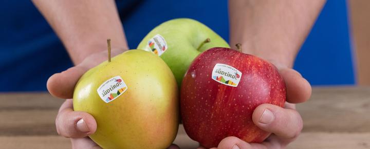 Tre diverse varietà di Mela Alto Adige IGP nella mano di un contadino, con il logo della Mela Alto Adige IGP sui frutti.