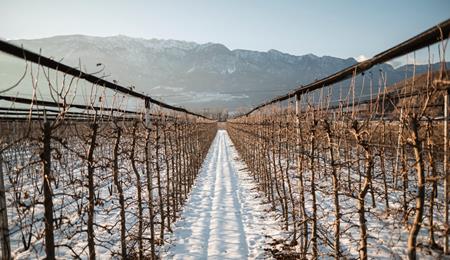 Meleto in inverno con la neve