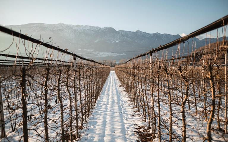 Meleto in inverno con la neve