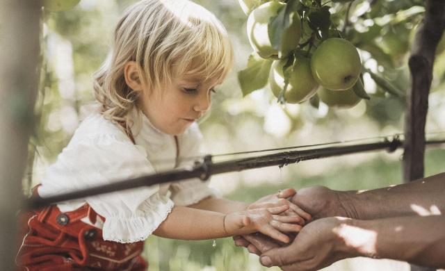 Un bambino esplora curiosamente le diverse caratteristiche del frutteto