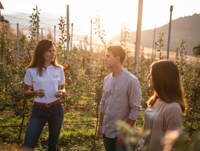 La contadina mostra ai visitatori il lavoro nei frutteti durante un tour guidato in Alto Adige.