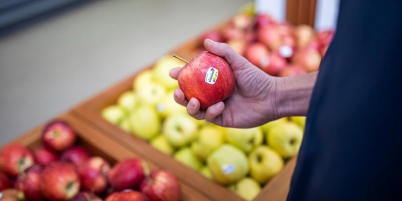 Mele fresche dell'Alto Adige dalla cooperativa ROEN a Caldaro