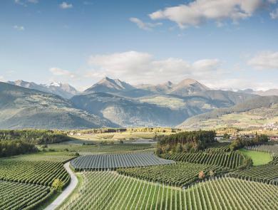 La terra delle mele - vista panoramica su verdi frutteti di mele con colline e montagne sullo sfondo in Alto Adige.