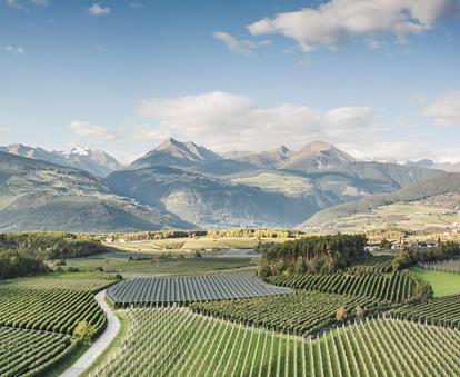 La terra delle mele - vista panoramica su verdi frutteti di mele con colline e montagne sullo sfondo in Alto Adige.