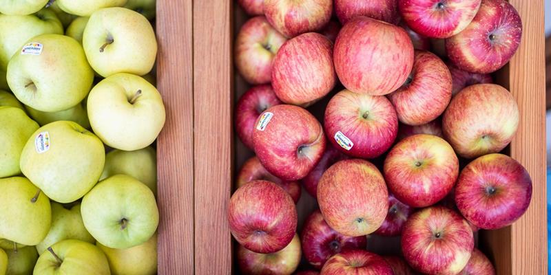 Mele fresche dell'Alto Adige dalla cooperativa MEG Martello